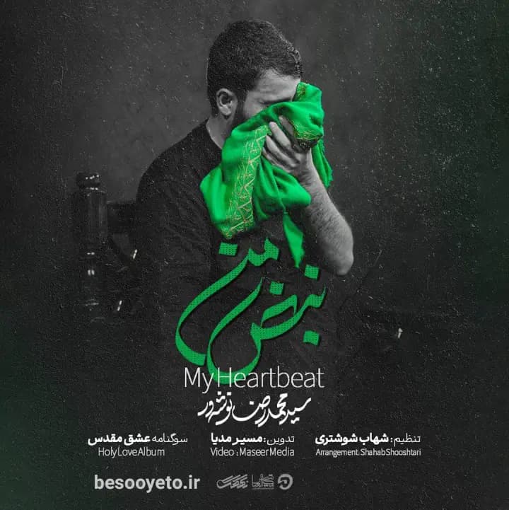 نماهنگ نبض من سید محمدرضا نوشه ور