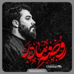 نماهنگ روضه مادر کربلایی امین قدیم