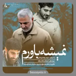 نماهنگ نمیشه باورم سید رضا نریمانی