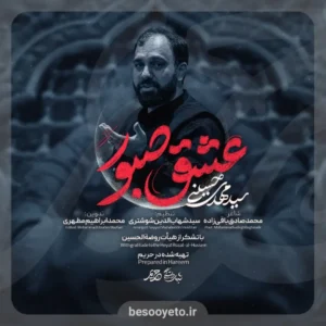 نماهنگ عشق صبورم سید مهدی حسینی