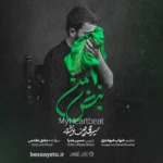 نماهنگ نبض من سید محمدرضا نوشه ور