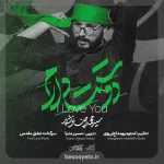 نماهنگ دوست دارم سید محمدرضا نوشه ور