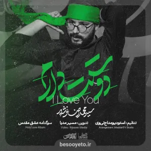 نماهنگ دوست دارم سید محمدرضا نوشه ور