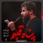نماهنگ پناه قلبم کربلایی حسین ستوده
