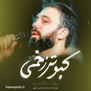 نماهنگ کبوتر زخمی سید مهدی حسینی