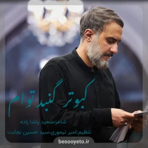 نماهنگ کبوتر گنبد توام محمدحسین پویانفر